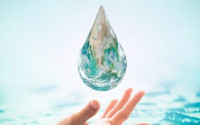 The Hidden Engineering Behind Mineral Water Pools